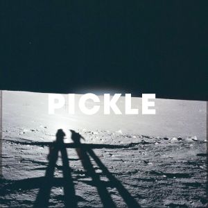 Pickle cover