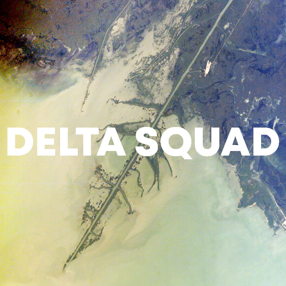 Delta Squad cover