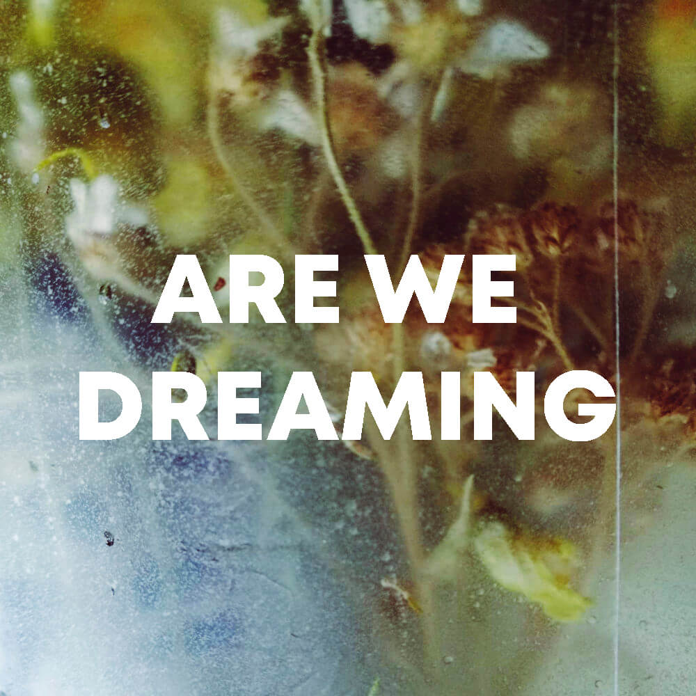 Are We Dreaming cover