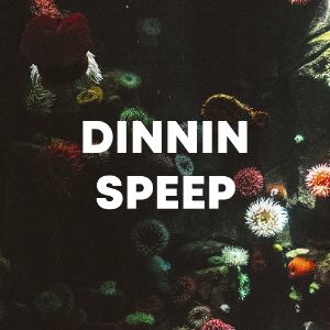 Dinnin Speep cover