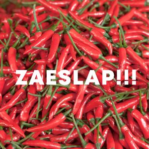 ZaeSLAP!!! cover