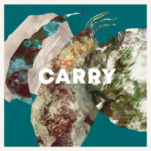 Carry cover