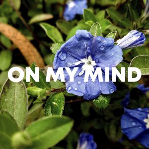 On My Mind cover