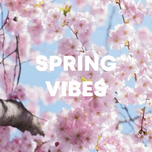 Spring Vibes cover