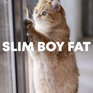 Slim Boy Fat cover