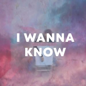 I Wanna Know cover