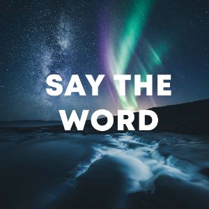Say The Word cover