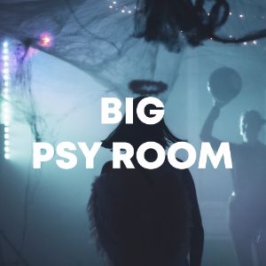 Big Psy Room cover