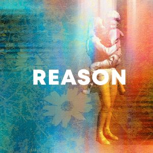 Reason cover