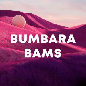 BUMBARABAMS cover