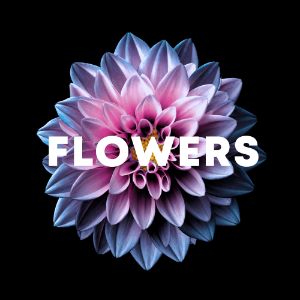 Flowers cover