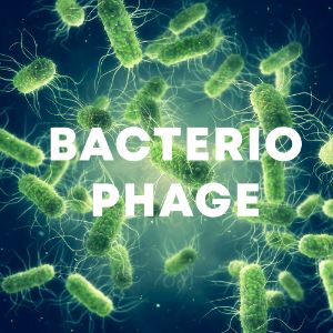 Bacteriophage cover