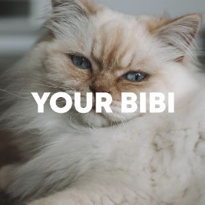 Your Bibi cover