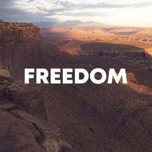 Freedom cover