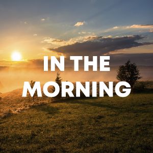 In The Morning cover