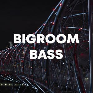 Bigroom Bass cover