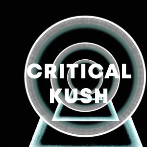 Critical Kush cover