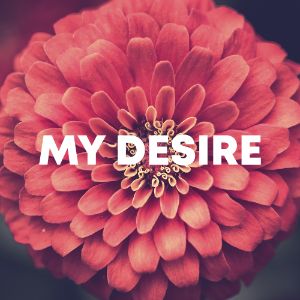 My Desire cover