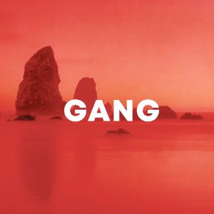 Gang cover