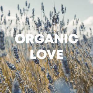 Organic Love cover