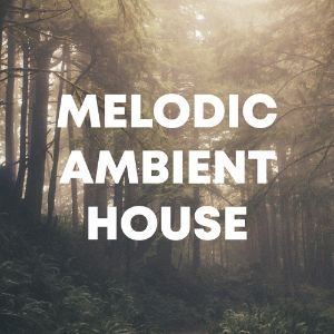 Melodic Ambient House cover