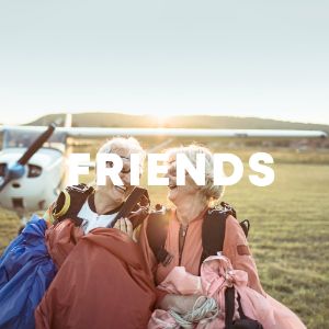 Friends cover