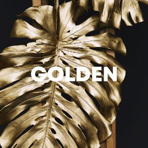 Golden cover