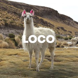 Loco cover