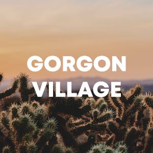 Gorgon Village cover