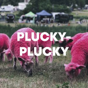 Plucky-Plucky cover