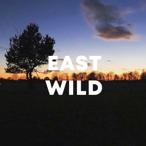 East Wild cover