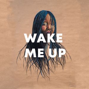 Wake Me Up cover