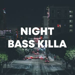 Night Bass Killa cover