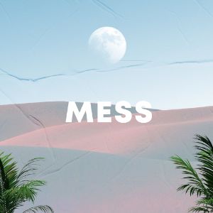 Mess cover
