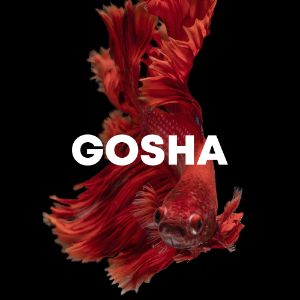 Gosha cover