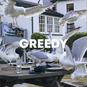 Greedy cover