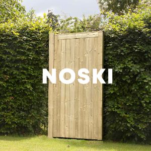 NOSKI cover