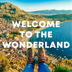 Welcome To The Wonderland cover
