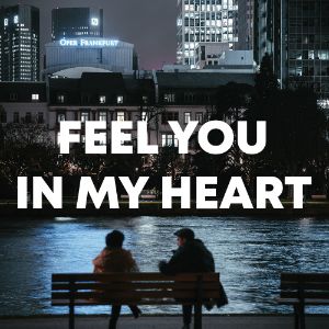 Feel You In My Heart cover