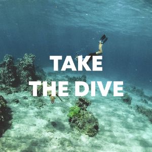 Take The Dive cover