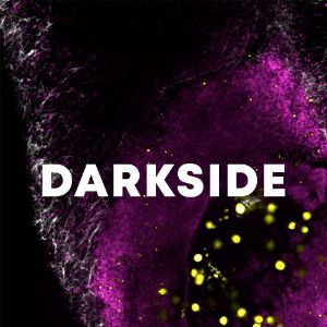 Darkside cover