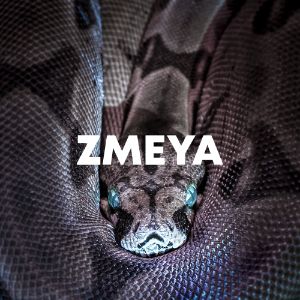 Zmeya cover