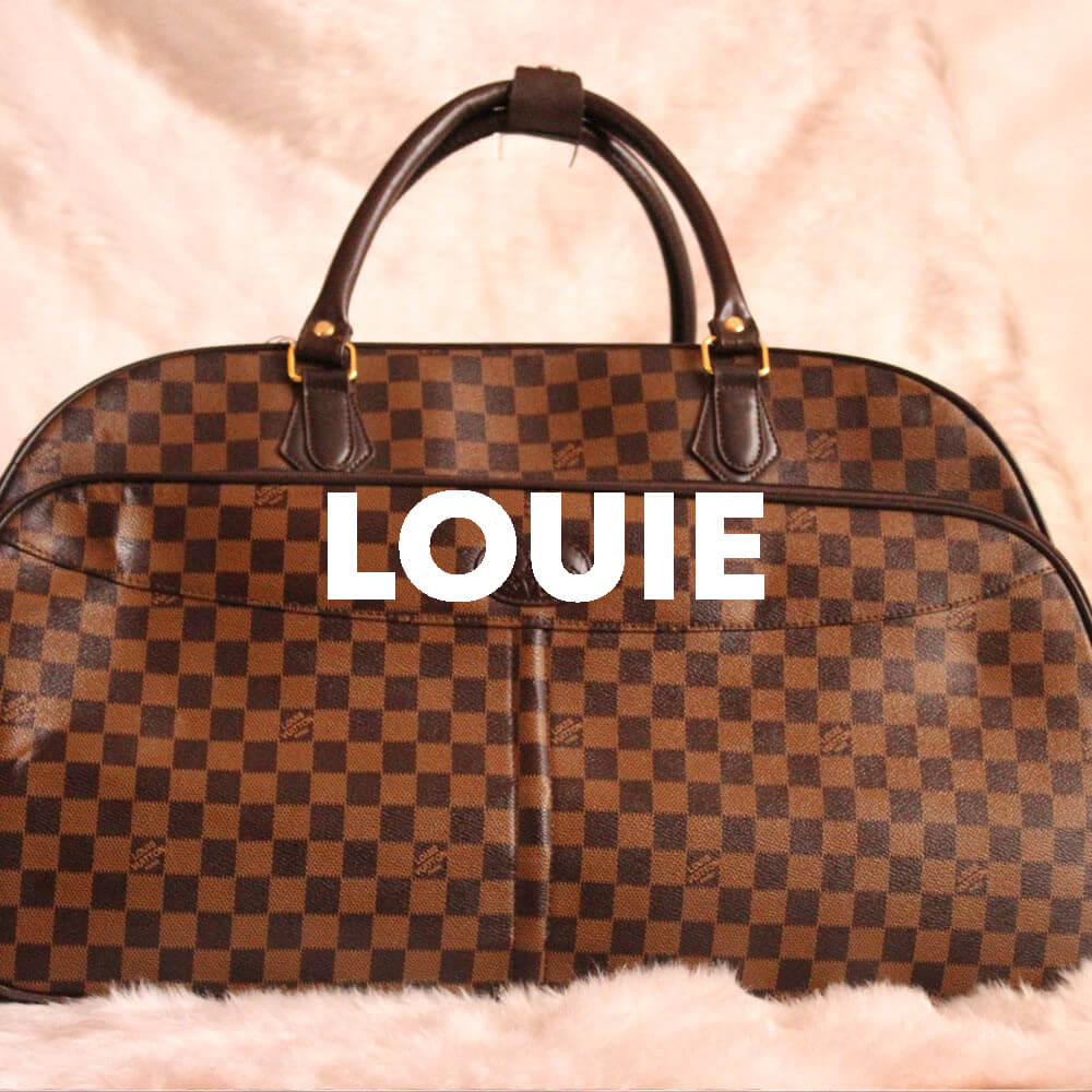 Louie cover