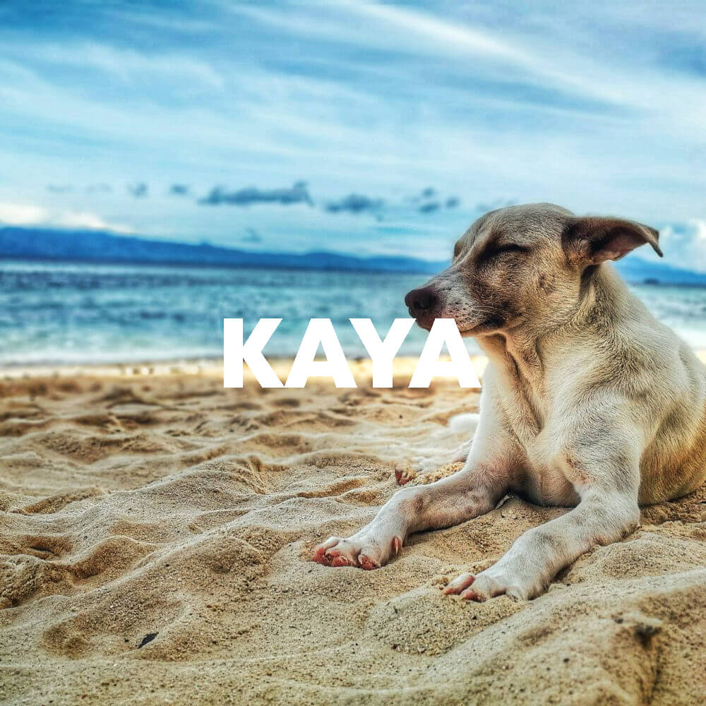 Kaya cover