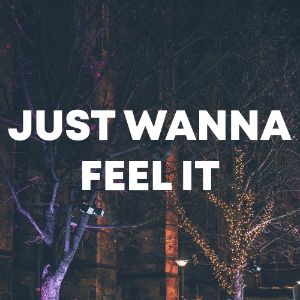 Just Wanna Feel It cover