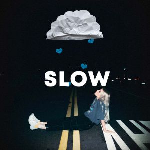 Slow cover
