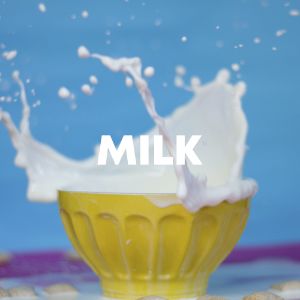 Milk cover