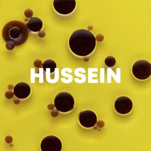 Hussein cover