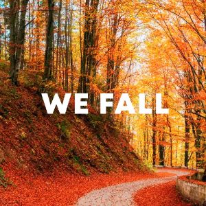 We Fall cover