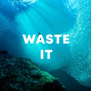 Waste It cover